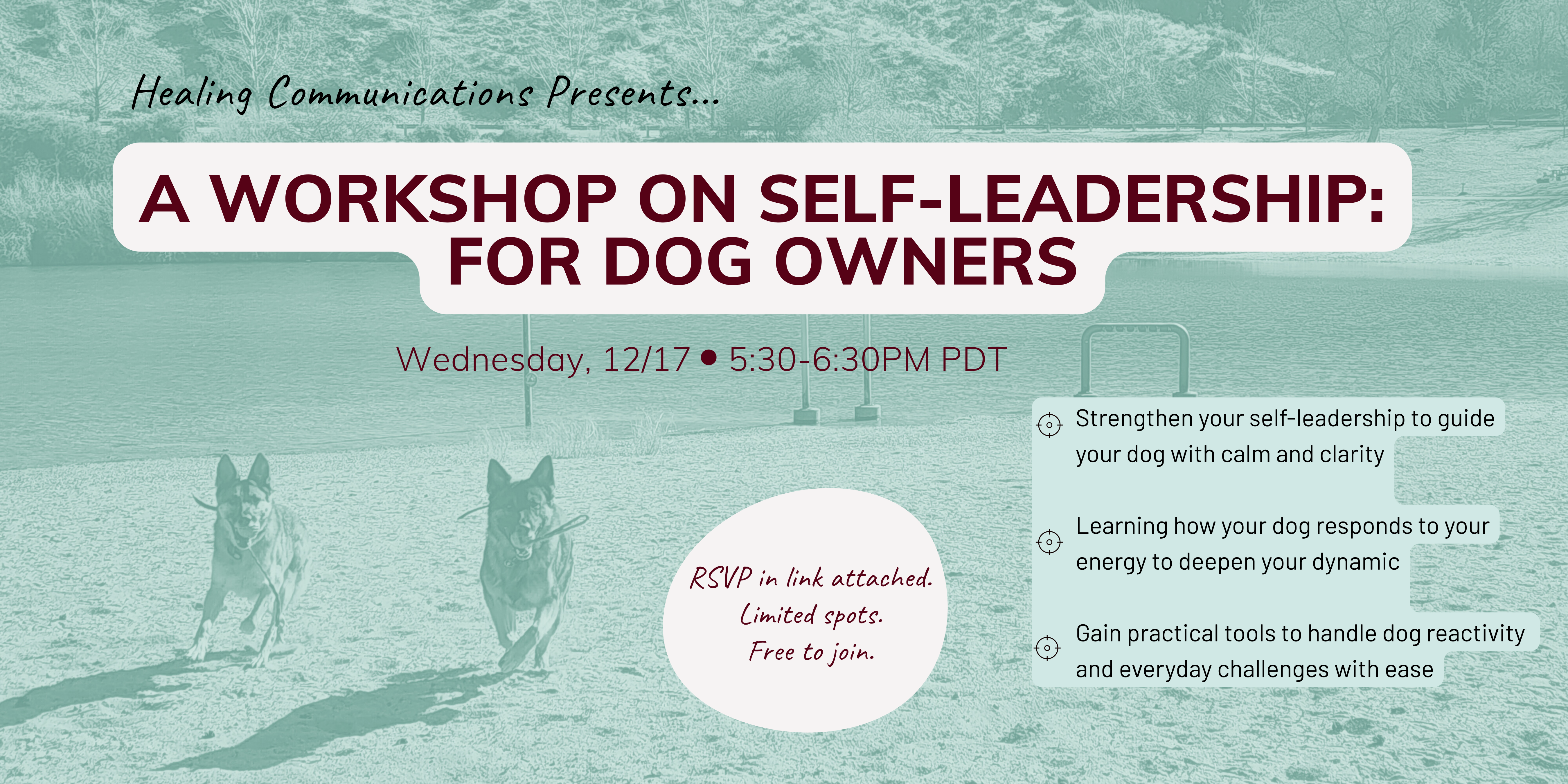 Workshop on Self-Leadership for Dog Owners